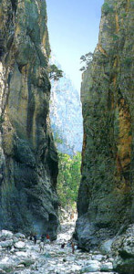 TREKKING3